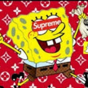 Meet your Posher, Benji